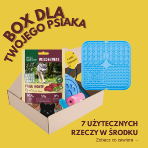 BOX DLA TWOJEGO PSIAKA – 7 użytecznych rzeczy BIG