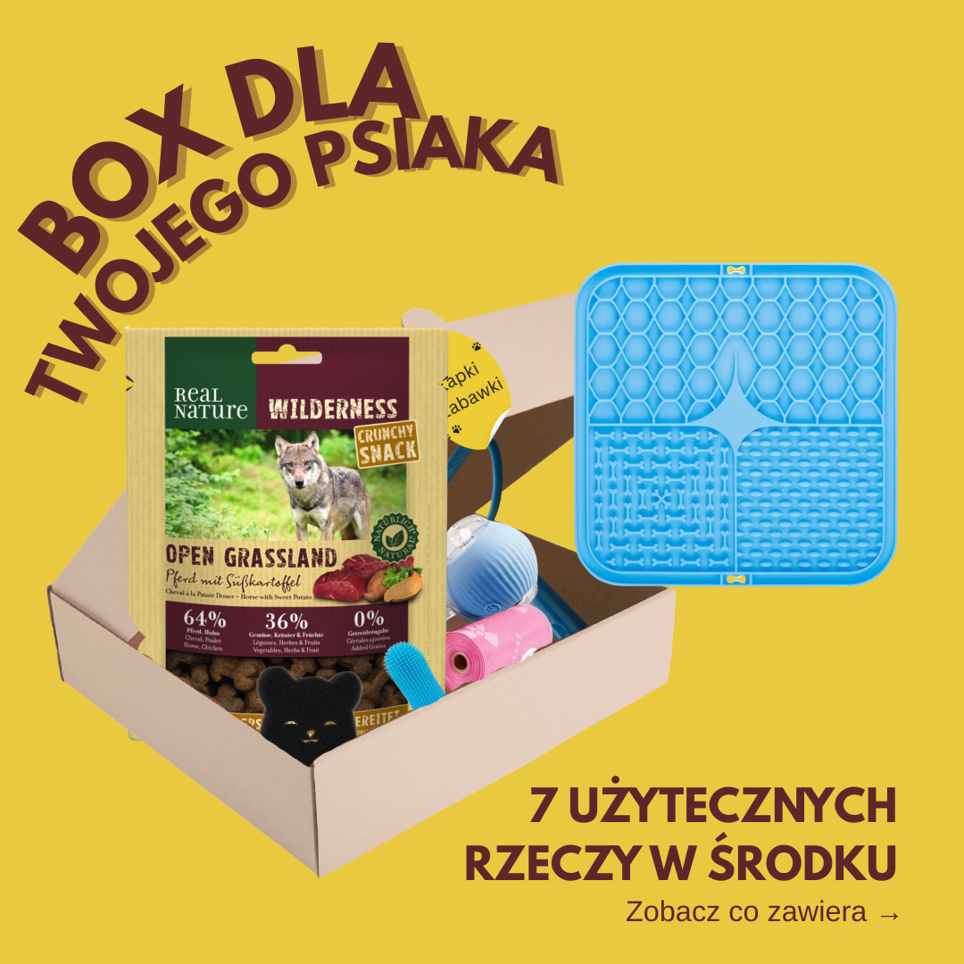 BOX DLA TWOJEGO PSIAKA – 7 użytecznych rzeczy SMALL